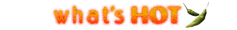 The GIF FACTORY